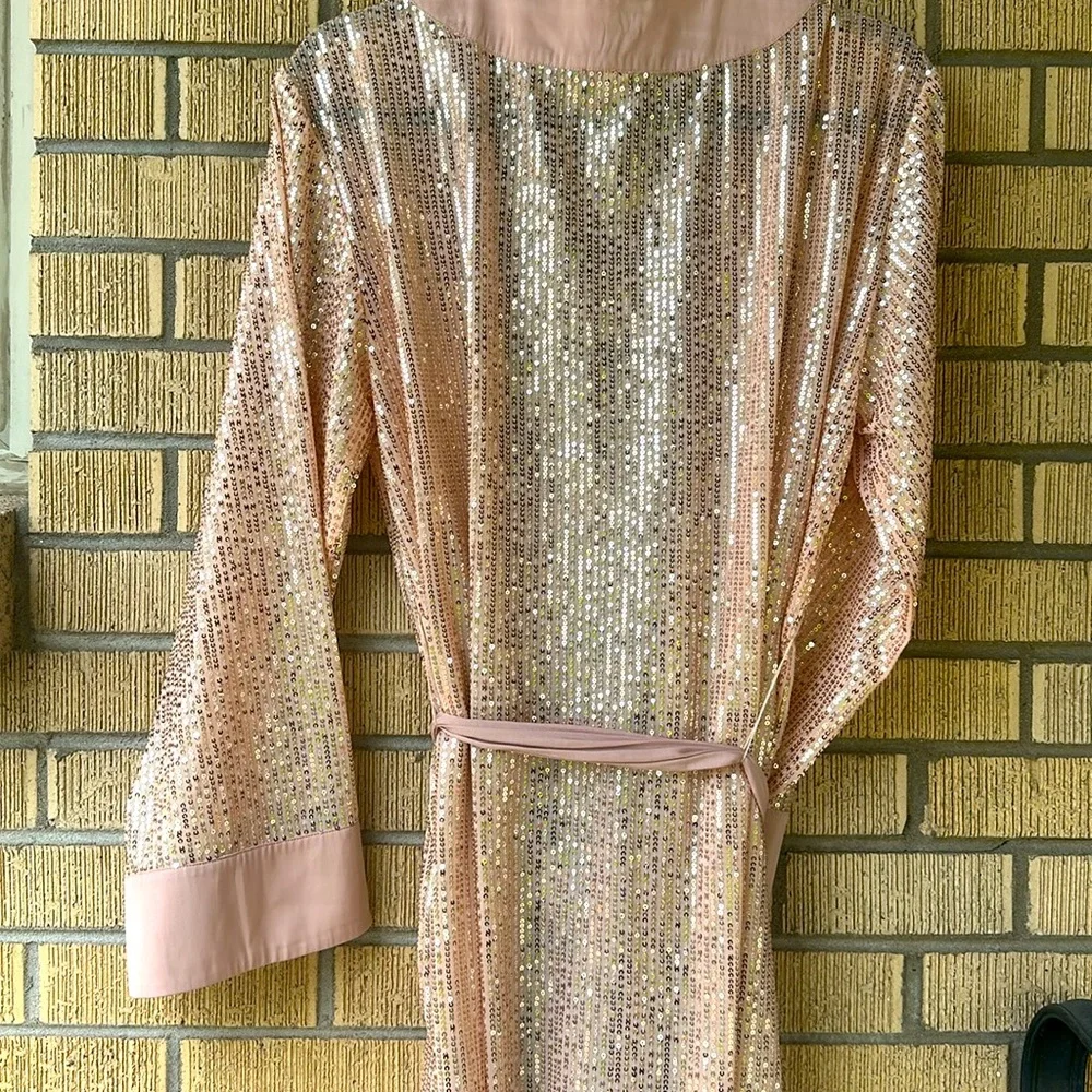 Anthropologie Sequin Robe, Size M/L (never worn) - Picture 4 of 6